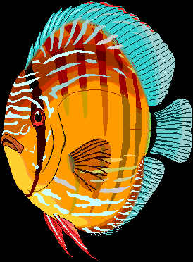 Discus