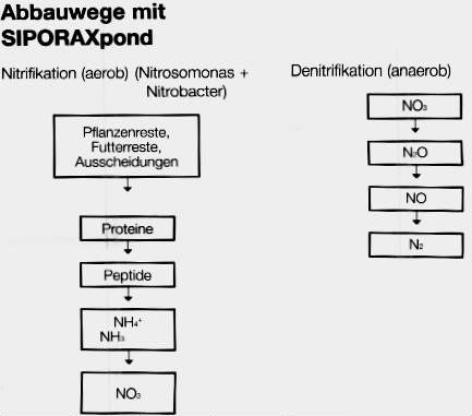 Abbauwege mit SIPORAXpond